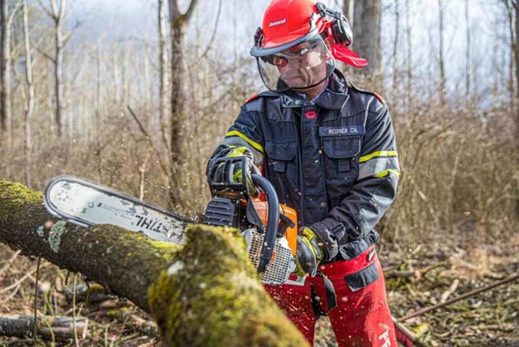tree service Martinez CA