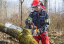 tree service Martinez CA
