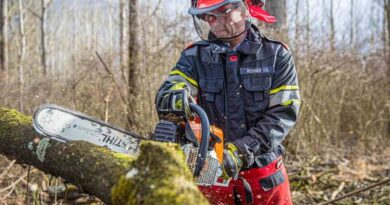 tree service Martinez CA