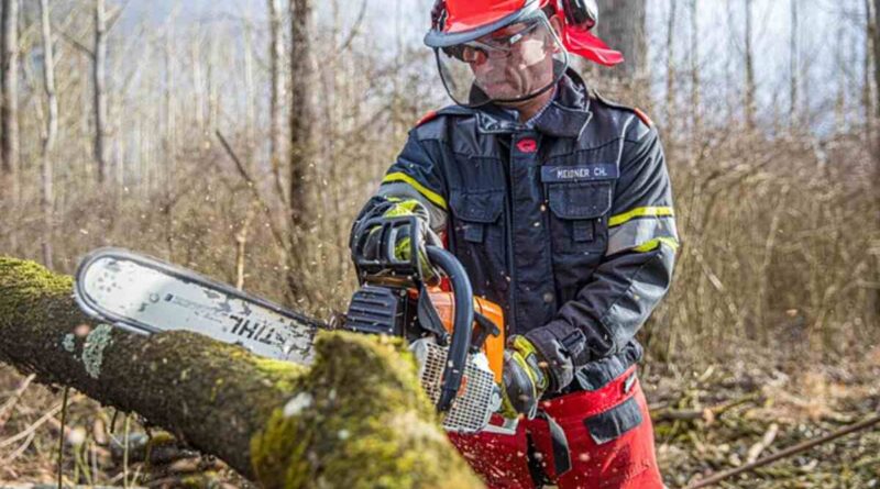 tree service Martinez CA